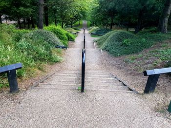 Walkway in park