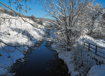 Snow covered plants and trees by canal against sky