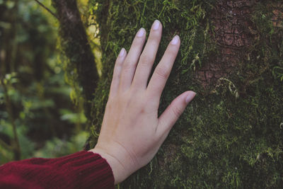 Cropped image of person touching tree trunk at forest