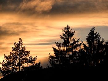 Silhouette trees against sky during sunset