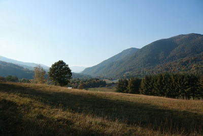 Scenic view of field against clear sky