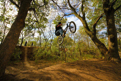 Man riding bicycle in forest