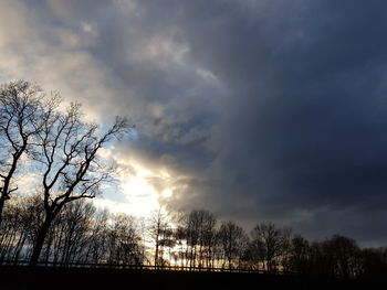 Low angle view of silhouette bare trees against sky