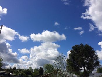 Low angle view of trees against blue sky