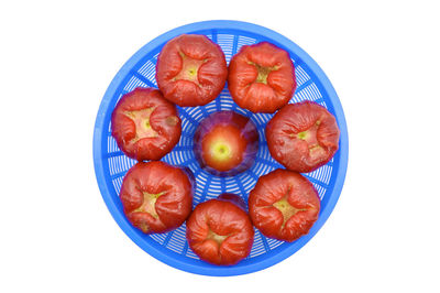 Directly above shot of food on white background