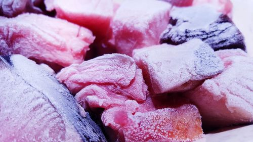 Close-up of pink ice