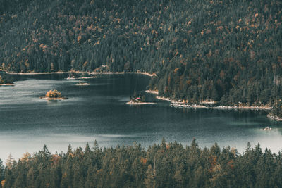 Scenic view of lake in forest during autumn