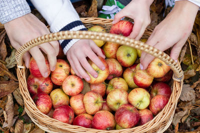 Autumn scene with apple basket on grass and fallen leaves.