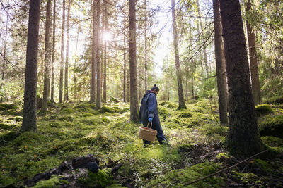 Rear view of woman walking in forest