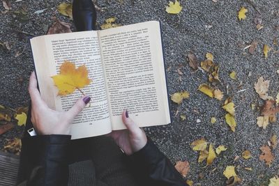 Low section of woman standing by autumn leaf