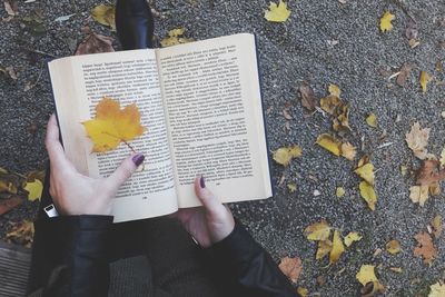Low section of woman reading book during autumn