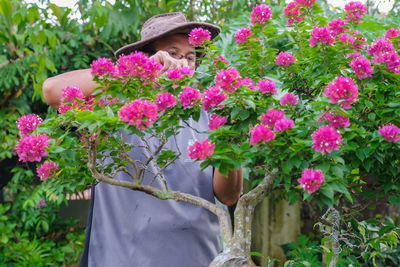 View of pink flowering plants