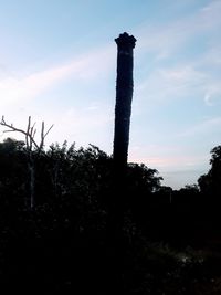 Low angle view of silhouette trees on field against sky