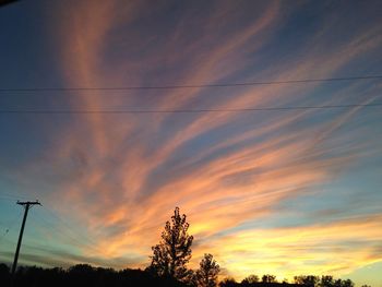 Low angle view of silhouette trees against sky during sunset