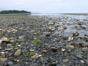 Rocks in sea