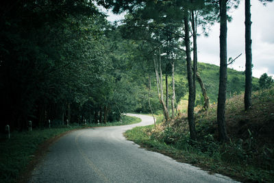 Empty road amidst trees in forest