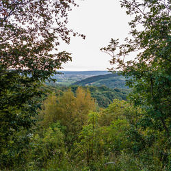 Scenic view of landscape