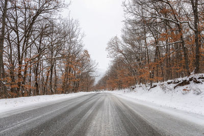 Road amidst bare trees against sky during winter