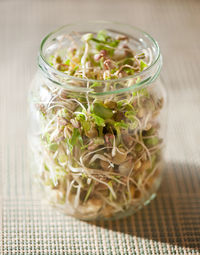 Close-up of sprouts in jar on table