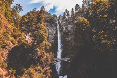 Scenic view of waterfall in forest against sky