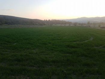 Scenic view of agricultural field against sky at sunset