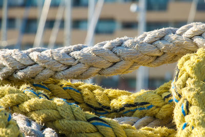 Close-up of rope tied to harbor
