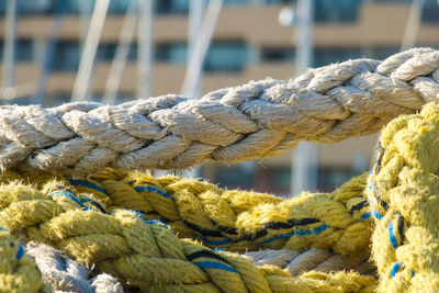 Close-up of ropes at harbor