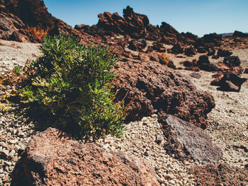 Rock formation on land against sky