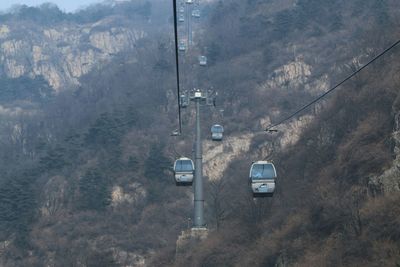 Cars on road