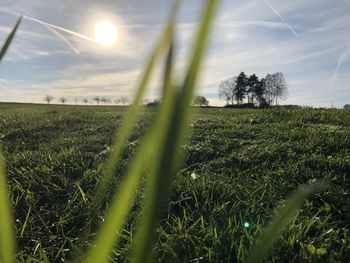 Scenic view of field against sky