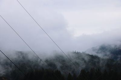 Low angle view of silhouette trees against sky