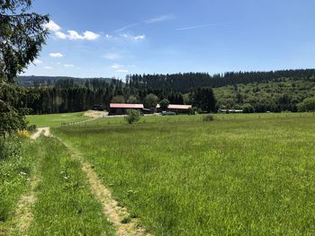 Scenic view of field against sky