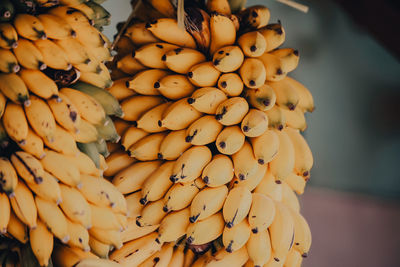 Close-up of bananas