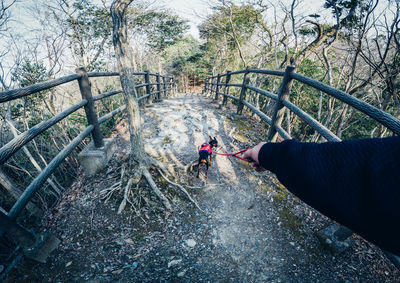 High angle view of man on staircase in forest