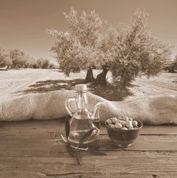 Tree in bowl on table against trees