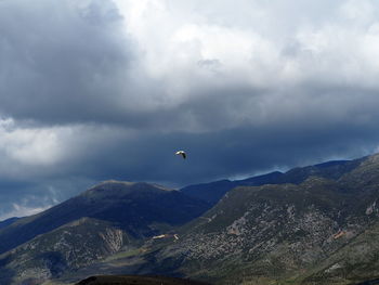 Bird flying over mountain range against sky