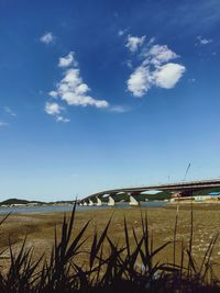 Scenic view of beach against blue sky