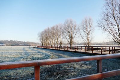 Bare trees on field against clear sky during winter