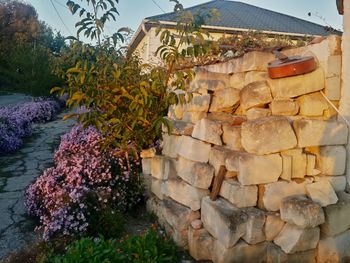 Stack of rocks by plants