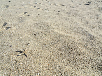 Full frame shot of a sand