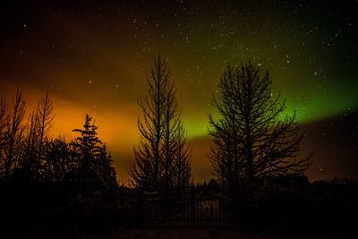 Silhouette trees against sky at night