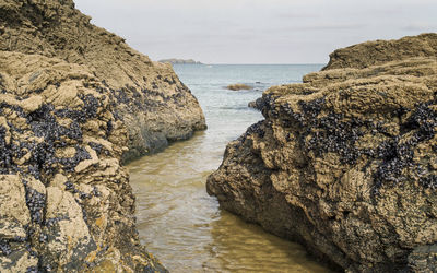 Scenic view of sea and rocks