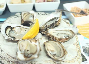 Close-up of oysters in plate