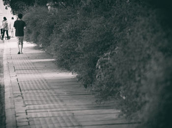 Rear view of woman walking on tree