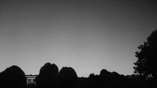 Silhouette trees against clear sky