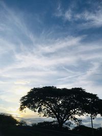 Low angle view of silhouette trees against sky