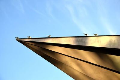 Low angle view of birds on bridge against sky