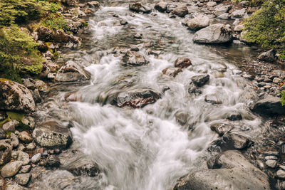 Scenic view of waterfall in forest