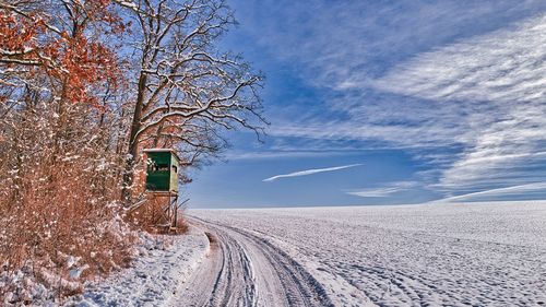 Road amidst bare trees against sky during winter