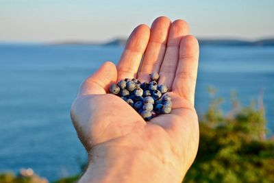 Close-up of person hand holding sea against sky